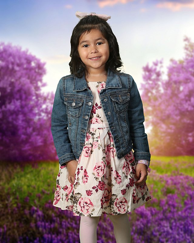 sample1.jpg